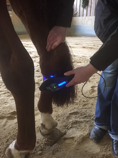 Laserfrequenztherapie nach Vinja Bauer