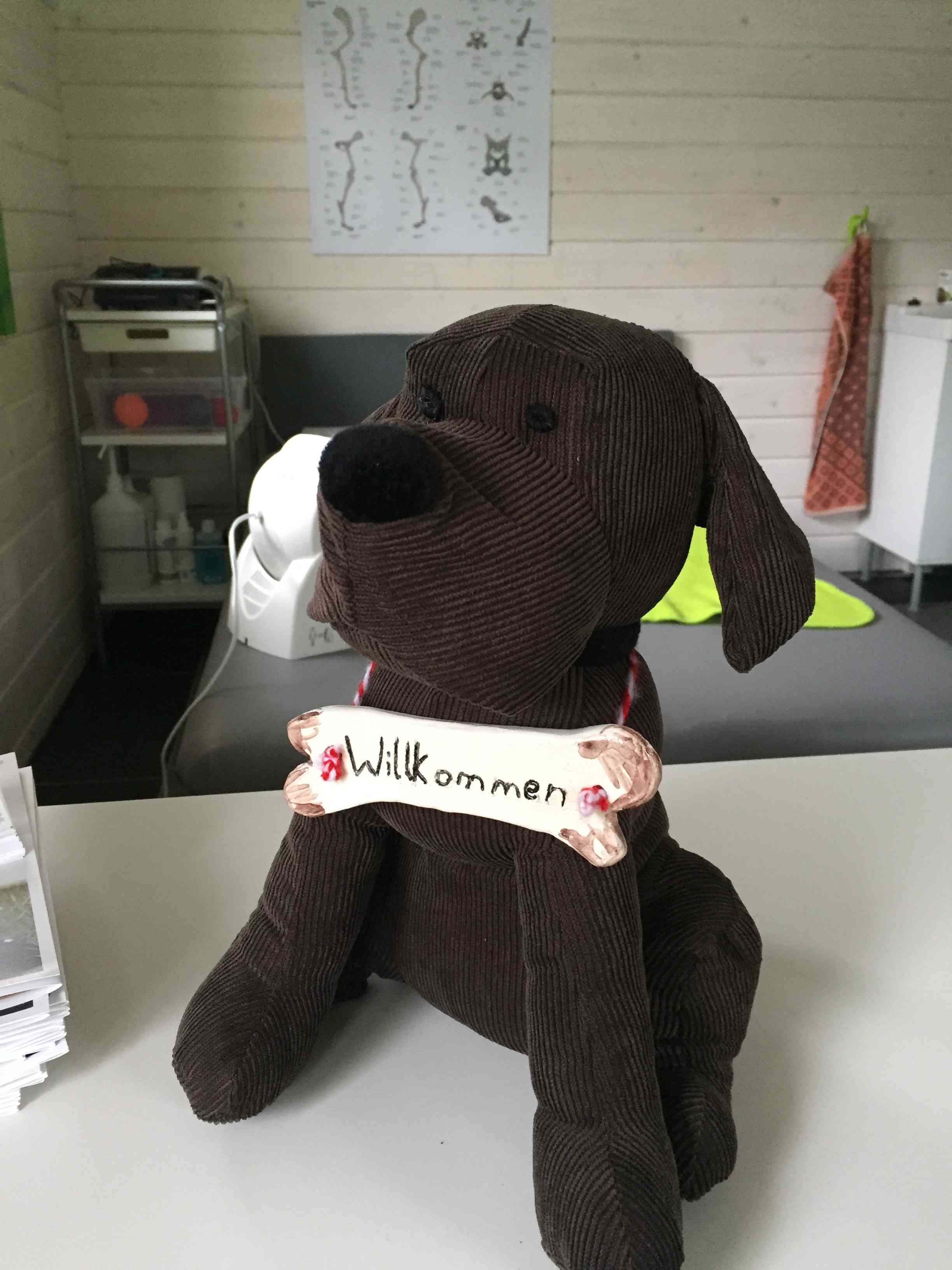 Willkommen in der Tierphysiotherapie Meyer in Weberstedt, Thüringen