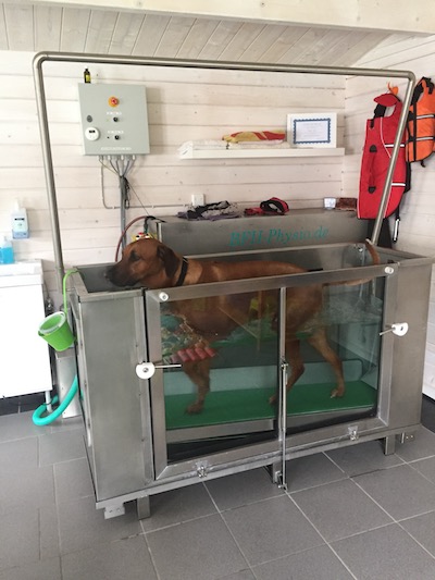 Unterwasserlaufband in der Praxis